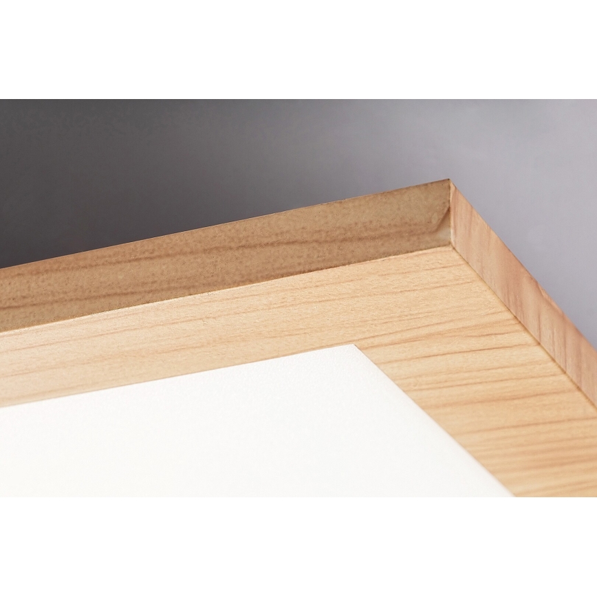 Rabalux - LED Ugradbena ploča LED/40W/230V 4000K
