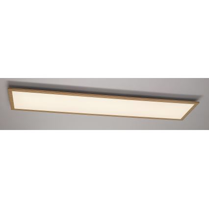 Rabalux - LED Nadgradni panel LED/40W/230V 4000K