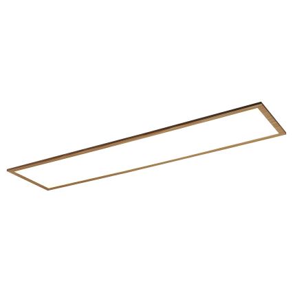 Rabalux - LED Nadgradni panel LED/40W/230V 4000K