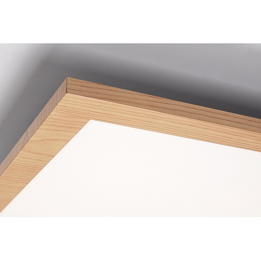 Rabalux - LED Nadgradni panel LED/40W/230V 4000K