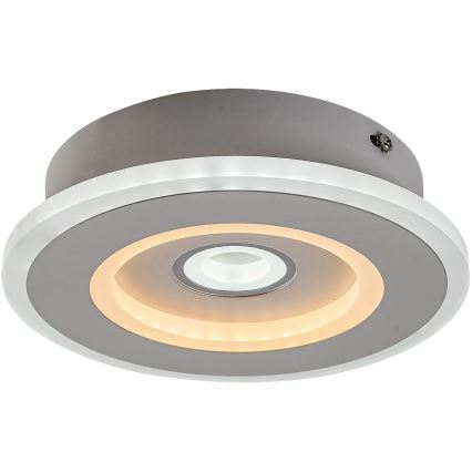 Rabalux - LED Stropna svjetiljka LED/20W/230V 3000/4000/6000K