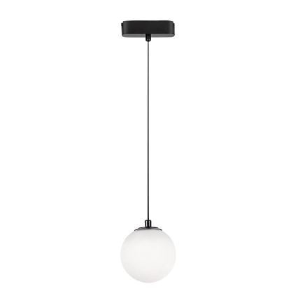 Rabalux - LED Luster na sajli za 1-fazni tračni sustav LED/5W/230V 4000K crna