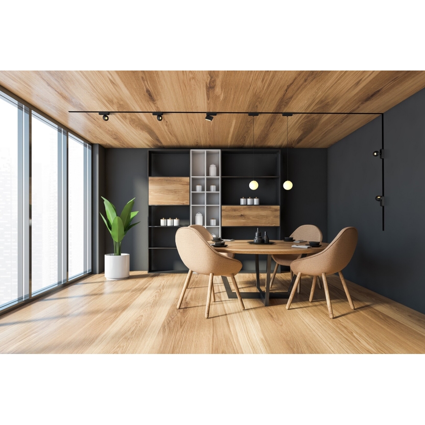 Rabalux - LED Prigušivi luster na sajli za 1-fazni tračni sustav LED/5W/24V 2700-5500K Wi-Fi Tuya crna