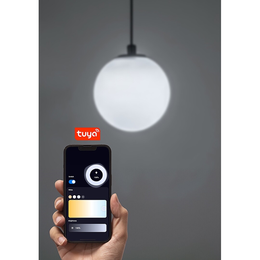 Rabalux - LED Prigušivi luster na sajli za 1-fazni tračni sustav LED/5W/24V 2700-5500K Wi-Fi Tuya crna