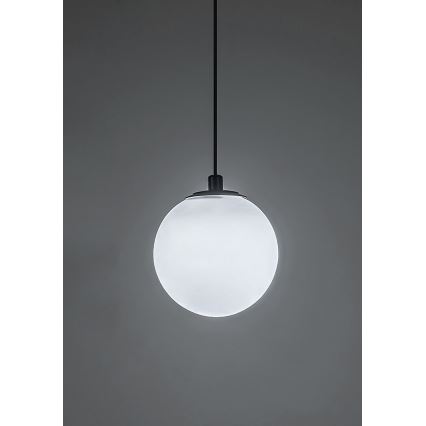 Rabalux - LED Prigušivi luster na sajli za 1-fazni tračni sustav LED/5W/24V 2700-5500K Wi-Fi Tuya crna