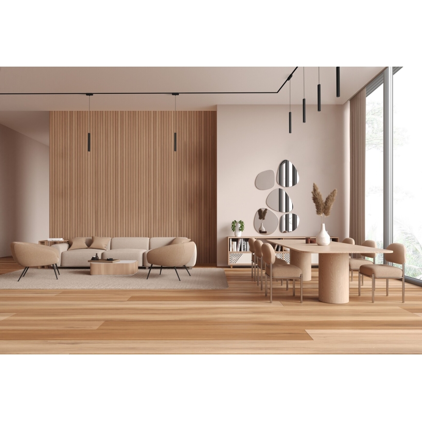 Rabalux - LED Prigušivi luster na sajli za 1-fazni tračni sustav LED/5W/24V 2700-5500K Wi-Fi Tuya crna