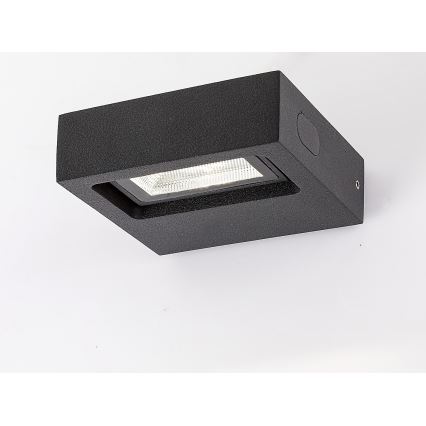 Rabalux - LED Vanjska zidna svjetiljka LED/7W/230V IP65