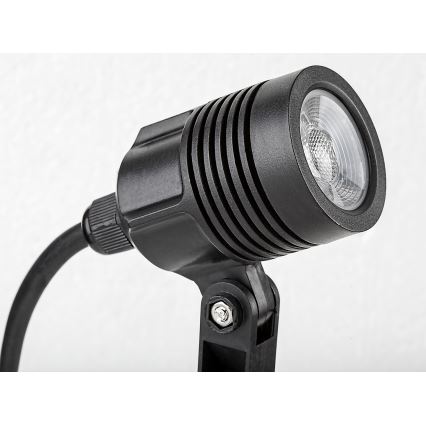 Rabalux - LED Vanjska lampa LED/3W/230V IP65