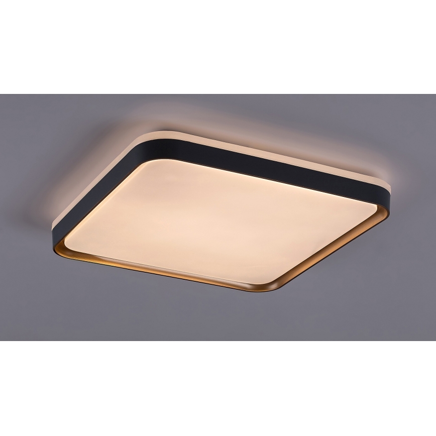 Rabalux - LED Stropna svjetiljka LED/26W/230V 3000K