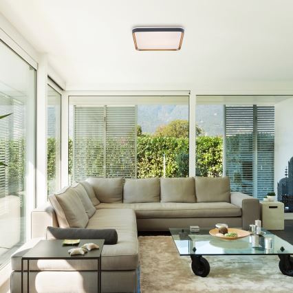 Rabalux - LED Stropna svjetiljka LED/26W/230V 3000K