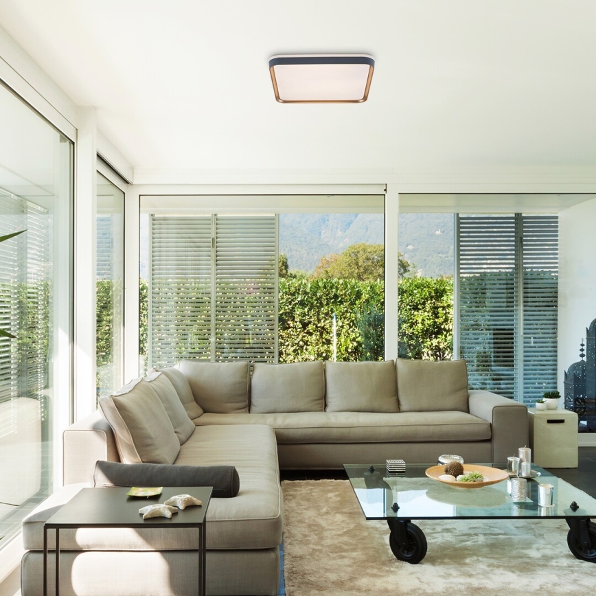 Rabalux - LED Stropna svjetiljka LED/26W/230V 3000K