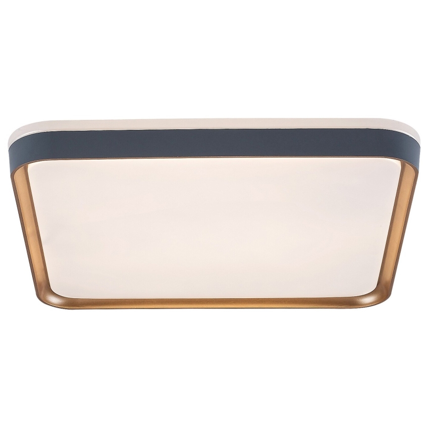 Rabalux - LED Stropna svjetiljka LED/26W/230V 3000K
