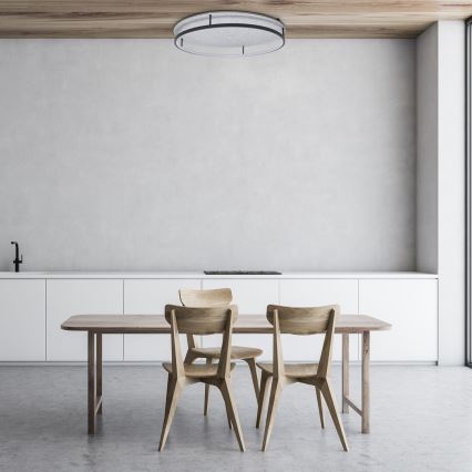 Rabalux - LED Stropna svjetiljka LED/40W/230V 3000/4000K