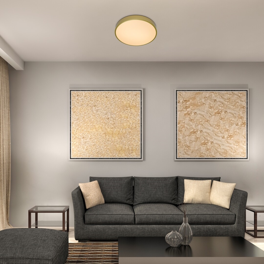 Rabalux - LED stropna svjetiljka LED/36W/230V 3000K Ø 40 cm