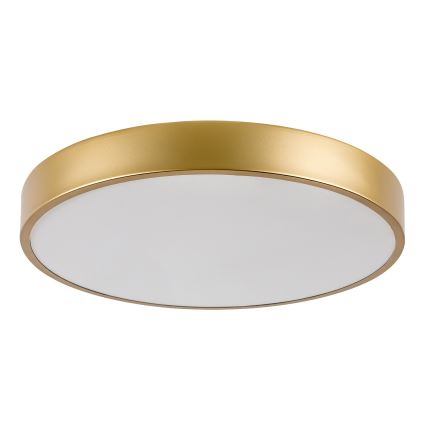 Rabalux - LED stropna svjetiljka LED/36W/230V 3000K Ø 40 cm