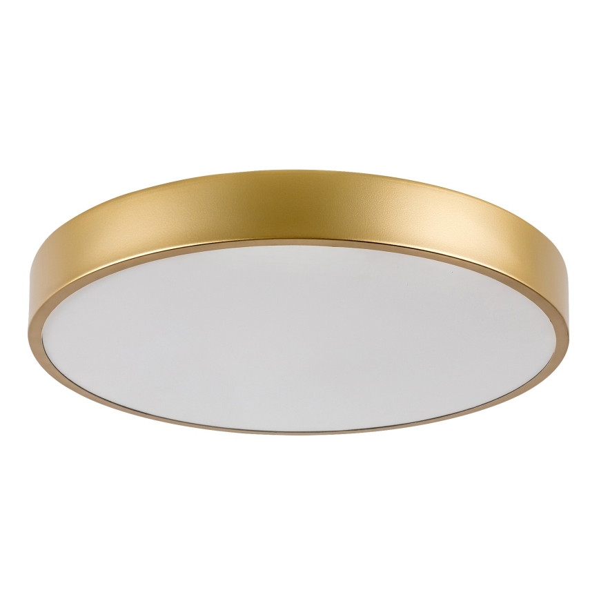 Rabalux - LED stropna svjetiljka LED/36W/230V 3000K Ø 40 cm