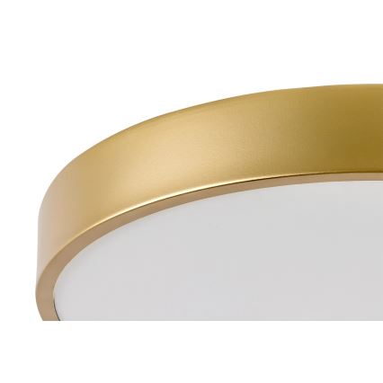 Rabalux - LED stropna svjetiljka LED/36W/230V 3000K Ø 40 cm