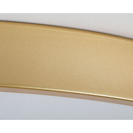 Rabalux - LED stropna svjetiljka s prigušivanjem LED/60W/230V 3000-6000K + daljinski upravljač Ø 60 cm