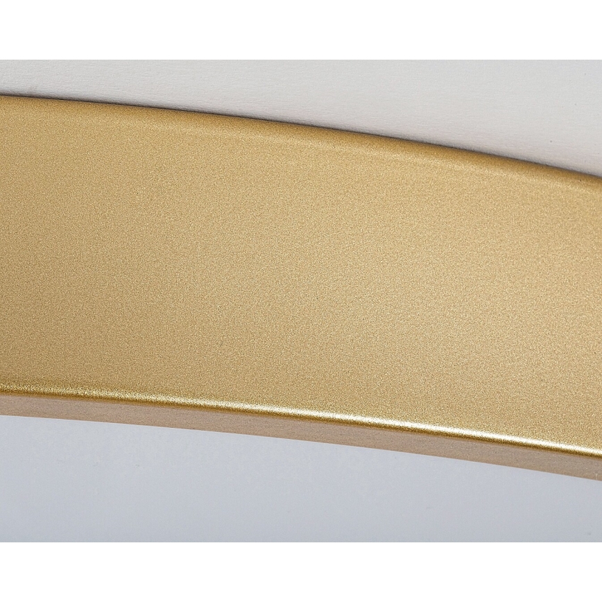 Rabalux - LED stropna svjetiljka s prigušivanjem LED/60W/230V 3000-6000K + daljinski upravljač Ø 60 cm