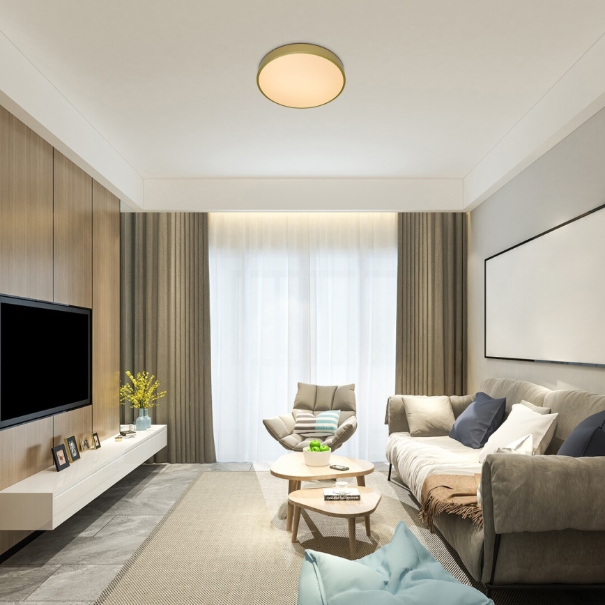 Rabalux - LED stropna svjetiljka s prigušivanjem LED/60W/230V 3000-6000K + daljinski upravljač Ø 60 cm