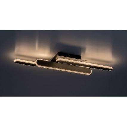 Rabalux - LED Stropna svjetiljka LED/18W/230V 3000/4000K