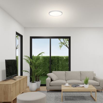 Rabalux - LED Stropna svjetiljka LED/24W/230V 4000K pr. 30 cm bijela