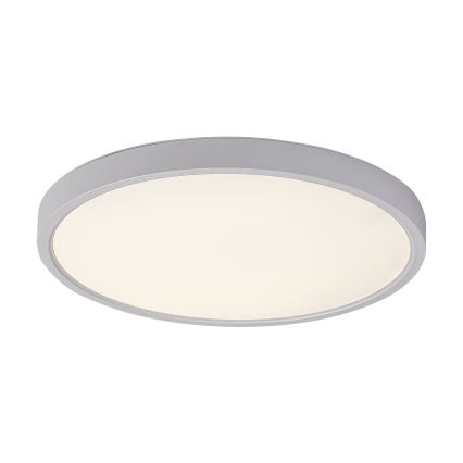 Rabalux - LED Stropna svjetiljka LED/24W/230V 4000K pr. 30 cm bijela