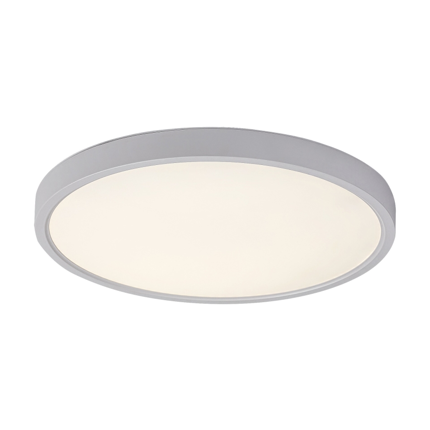 Rabalux - LED Stropna svjetiljka LED/24W/230V 4000K pr. 30 cm bijela