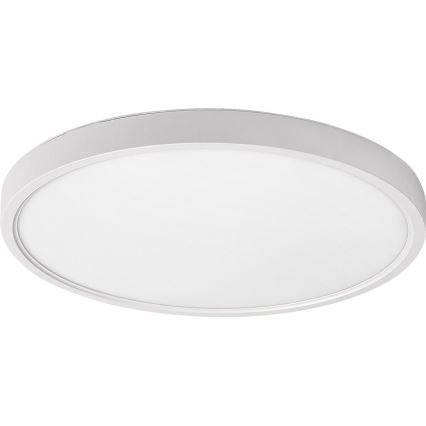 Rabalux - LED Stropna svjetiljka LED/24W/230V 4000K pr. 30 cm bijela