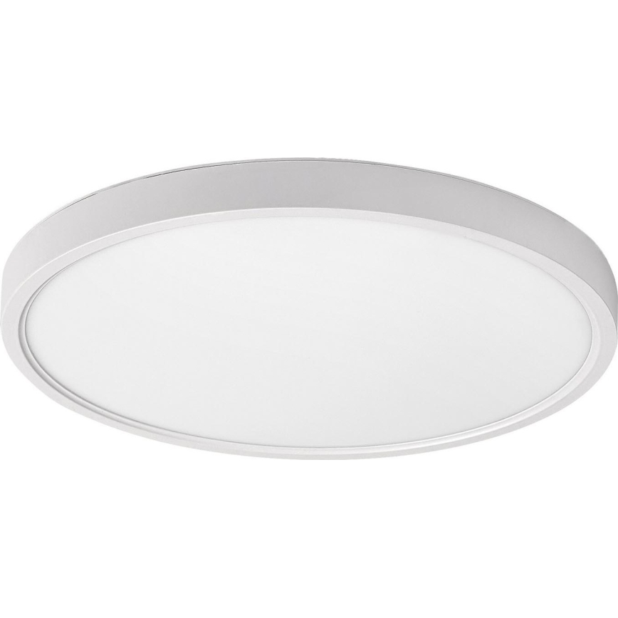 Rabalux - LED Stropna svjetiljka LED/24W/230V 4000K pr. 30 cm bijela