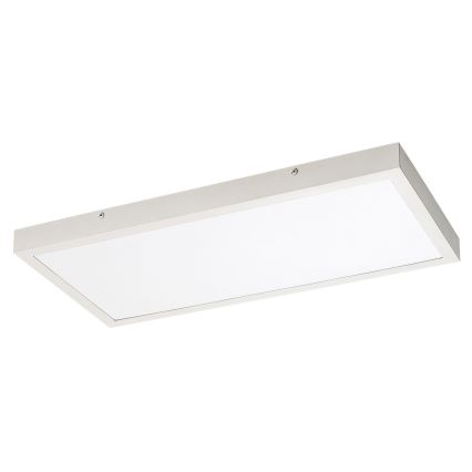 Rabalux - LED Nadgradni panel LED/24W/230V 4000K 60x30 cm