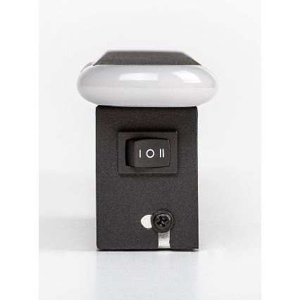 Rabalux - LED Zidna svjetiljka LED/12W/230V 3000/4000K
