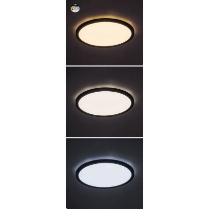 Rabalux - LED Stropna svjetiljka LED/24W/230V 3000/4000/6000K pr. 29 cm crna