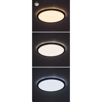 Rabalux - LED Stropna svjetiljka LED/36W/230V 3000/4000/6000K pr. 40 cm crna
