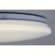 Rabalux - LED Stropna svjetiljka LED/12W/230V 4000K 25 cm