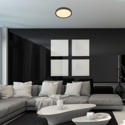 Rabalux - LED Stropna svjetiljka LED/25W/230V 3000K