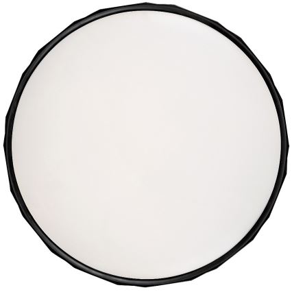 Rabalux - LED stropna svjetiljka LED/25W/230V 4000K promjer 39 cm crna