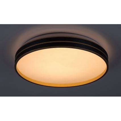 Rabalux - LED Prigušiva stropna svjetiljka LED/24W/230V 3000-6500K + daljinski upravljač