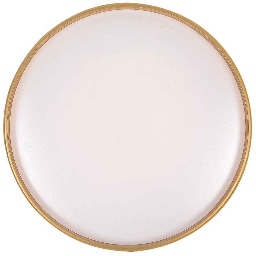 Rabalux - LED Prigušiva stropna svjetiljka LED/24W/230V 3000-6500K + daljinski upravljač