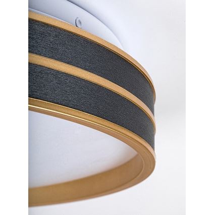 Rabalux - LED stropna svjetiljka s prigušivanjem LED/24W/230V 3000-6500K + daljinski upravljač