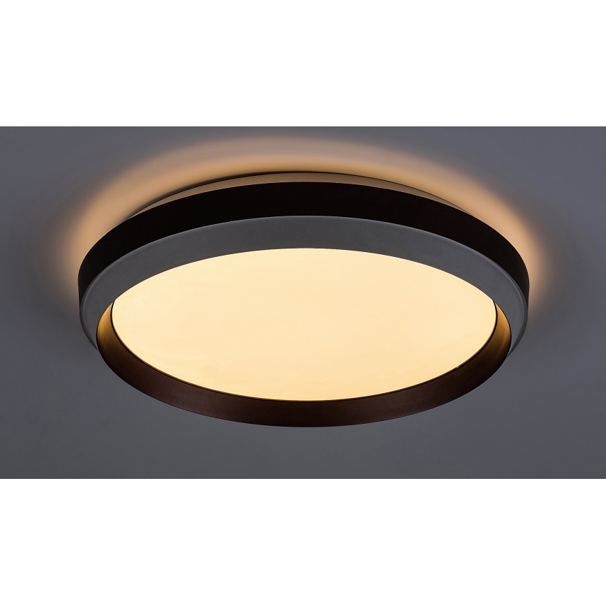 Rabalux - LED Stropna svjetiljka LED/24W/230V 3000K