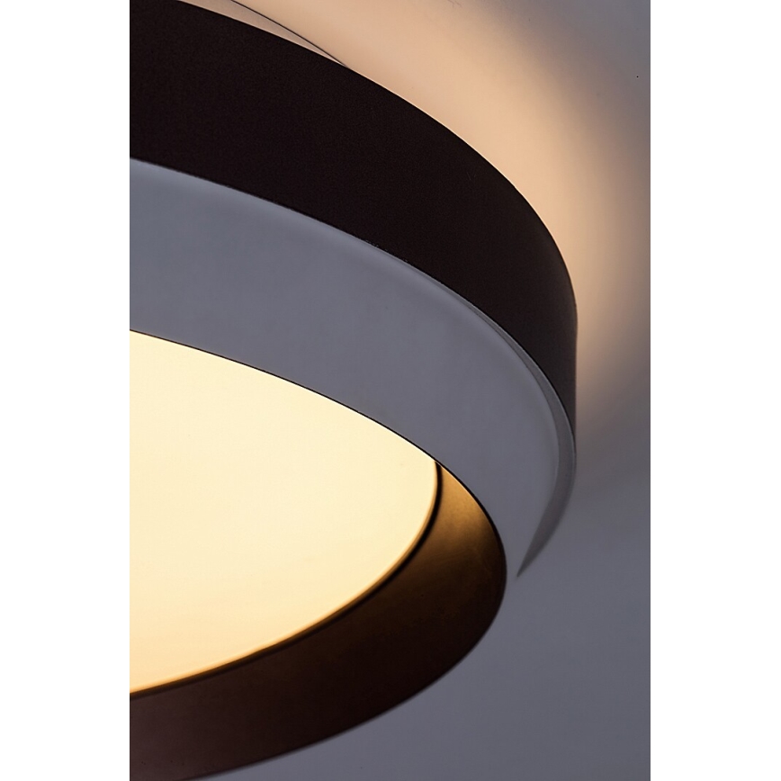 Rabalux - LED Stropna svjetiljka LED/24W/230V 3000K