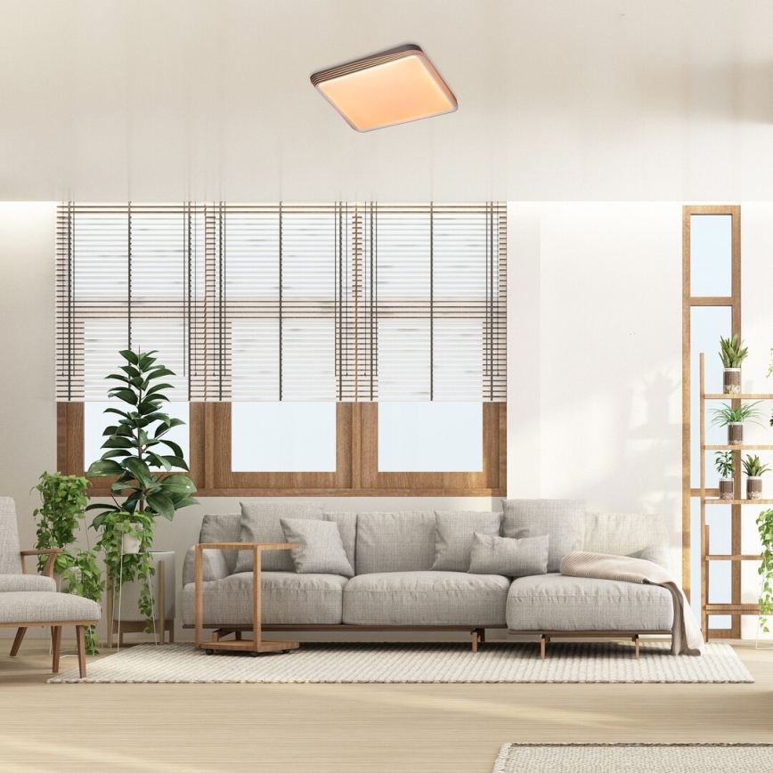 Rabalux - LED Stropna svjetiljka LED/40W/230V 3000K