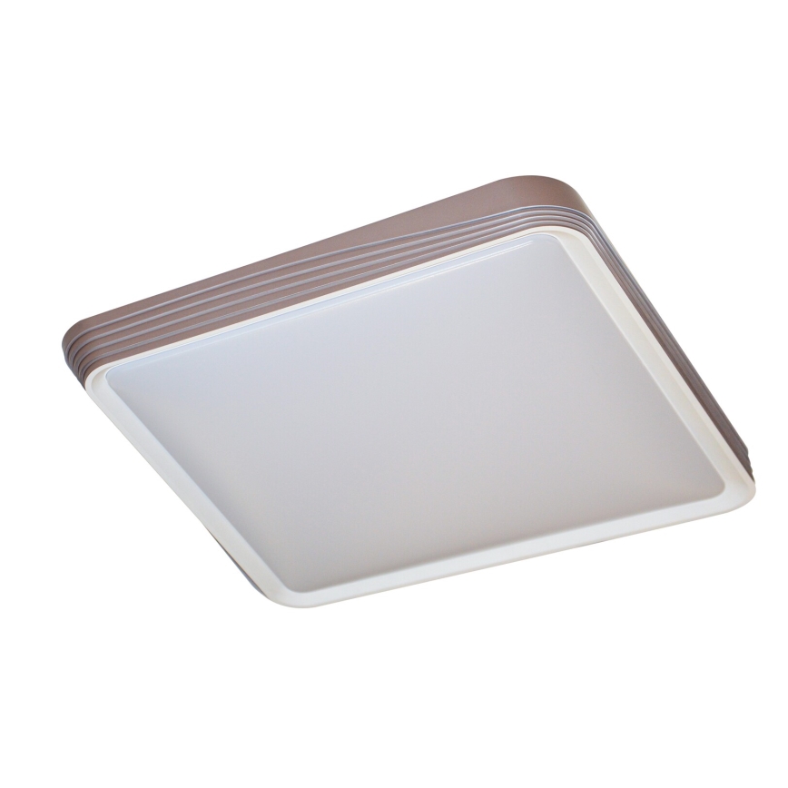 Rabalux - LED Stropna svjetiljka LED/40W/230V 3000K