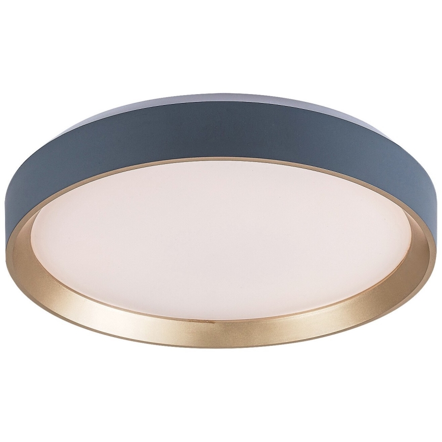 Rabalux - LED Stropna svjetiljka LED/25W/230V 3000K pr. 38 cm