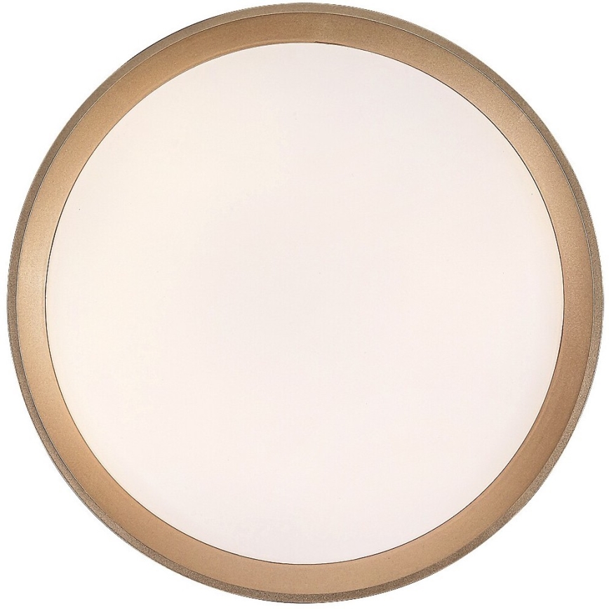 Rabalux - LED Stropna svjetiljka LED/25W/230V 3000K pr. 38 cm