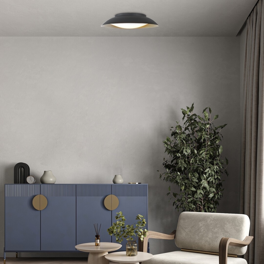 Rabalux - LED Stropna svjetiljka LED/24W/230V 3000K pr. 40 cm