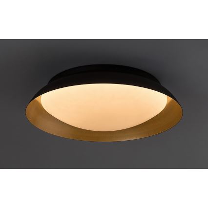 Rabalux - LED Stropna svjetiljka LED/20W/230V 3000K pr. 30 cm