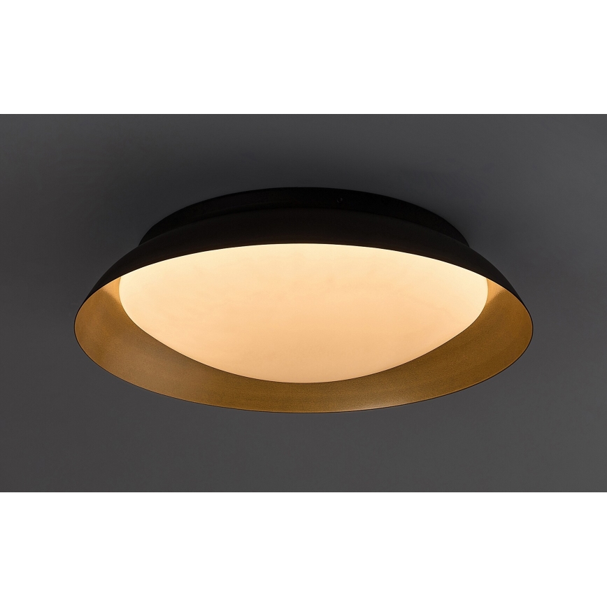 Rabalux - LED Stropna svjetiljka LED/20W/230V 3000K pr. 30 cm