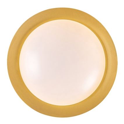 Rabalux - LED Stropna svjetiljka LED/20W/230V 3000K pr. 30 cm
